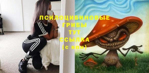 ECSTASY Нефтекумск