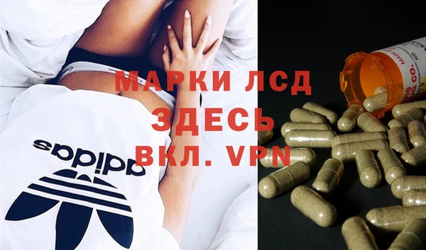 твердый Алзамай