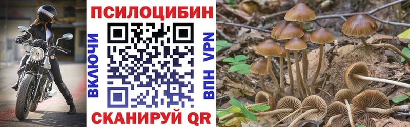 Галлюциногенные грибы Psilocybine cubensis  как найти   ссылка на мегу ссылки  Нурлат 