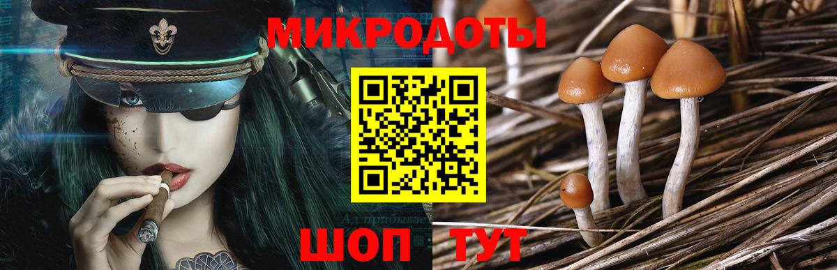Галлюциногенные грибы Psilocybe Нурлат